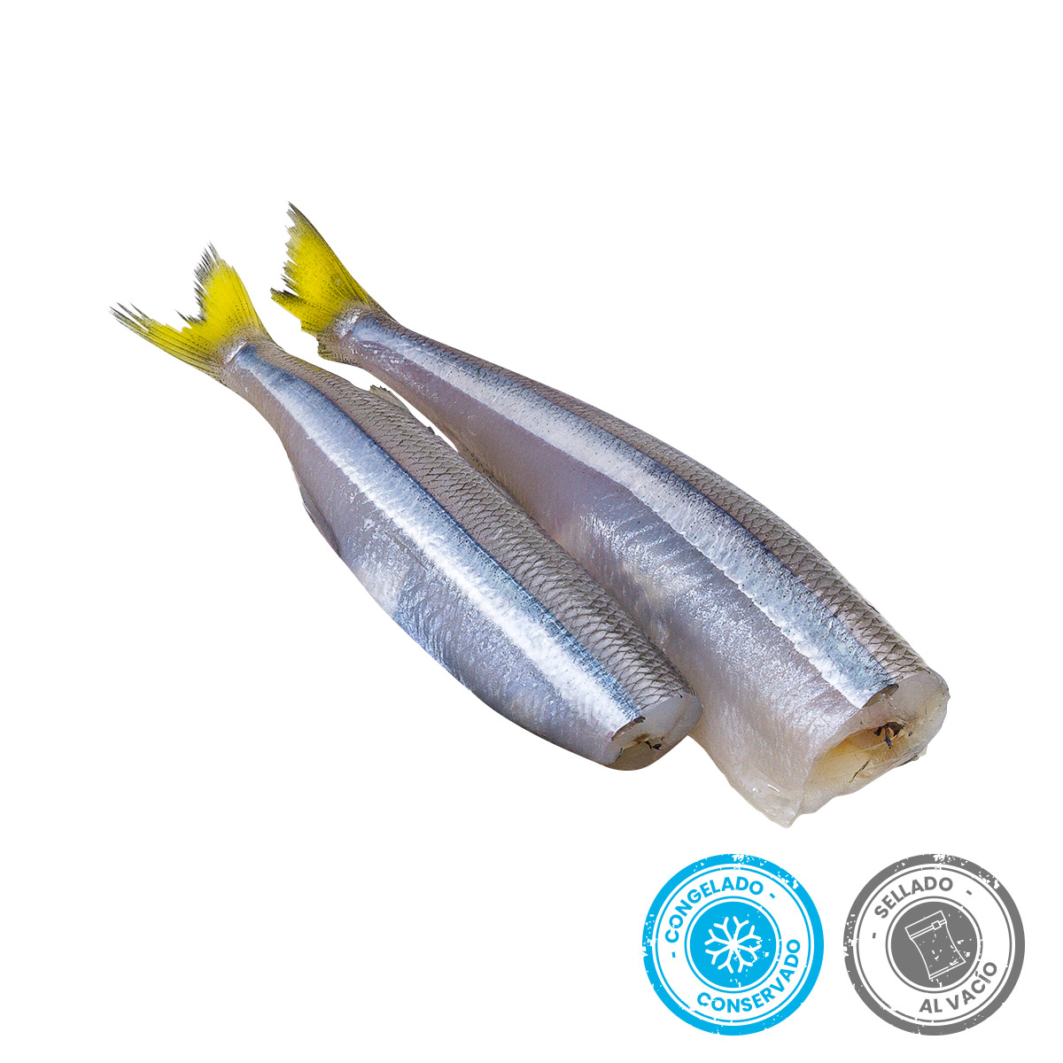 carnada-natural-pejerrey-sin-cabeza