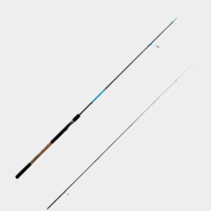 Caña Shimano Nexave Seabass Spinning 300XH / 40-100g