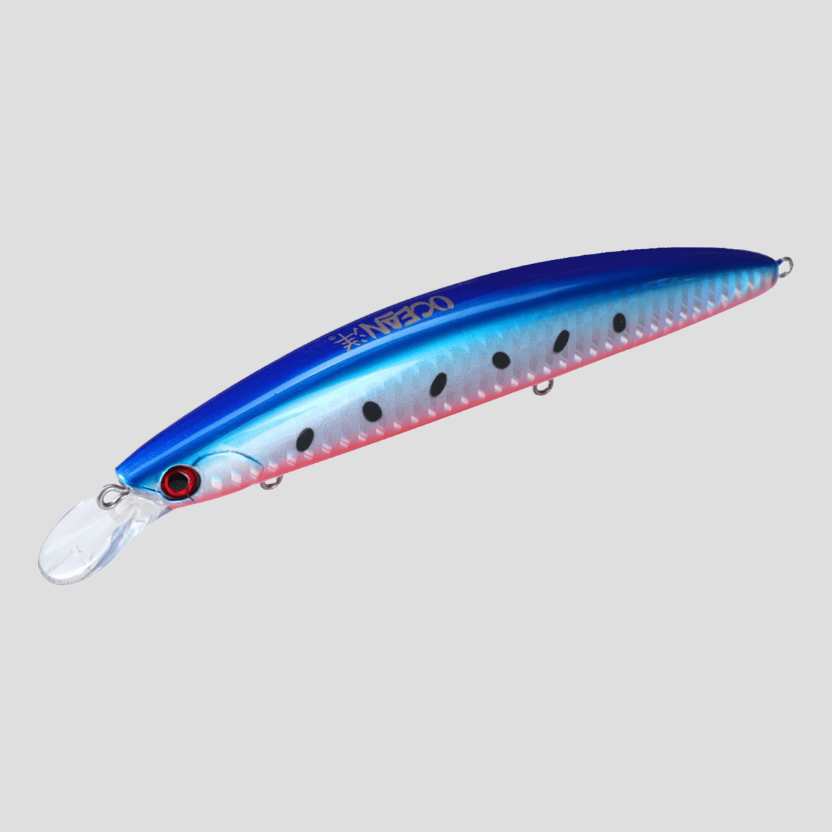 ocean-hirame-bay-120-s-blue-pacific-sardine-a