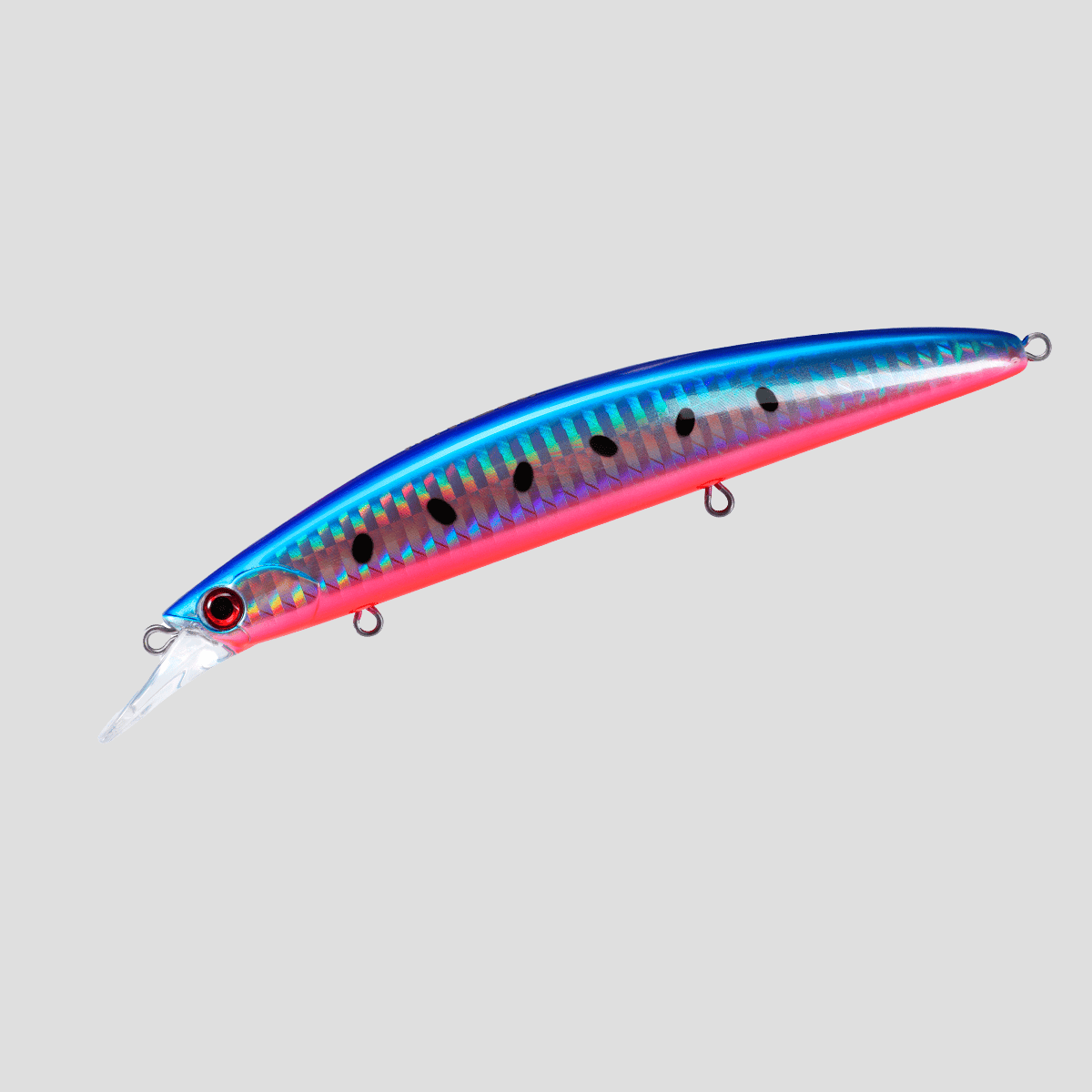 ocean-hirame-bay-120-s-blue-pacific-sardine-b