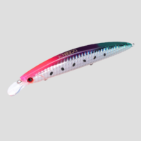 ocean-hirame-bay-120-s-majestic-sardine-a
