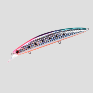 ocean-hirame-bay-120-s-majestic-sardine-b