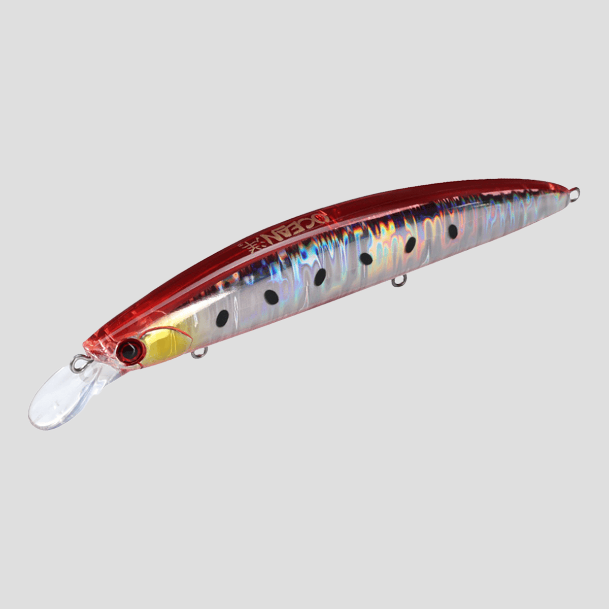 ocean-hirame-bay-120-s-red-burning-sardine-a